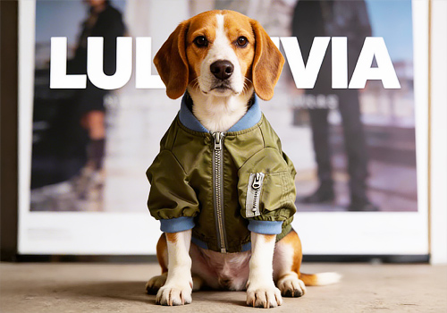 Tokyo Design Awards Winner - LULUVIA Flight Suit by Luluvia LLC