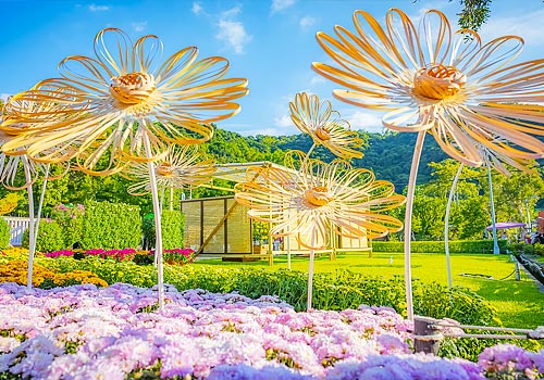 Tokyo Design Awards Winner - 2025 CKS Shilin Residence Chrysanthemum Festival by Parks and Street Lights Office, Public Works Department, Taipei City,Huang Ting Integrated Marketing