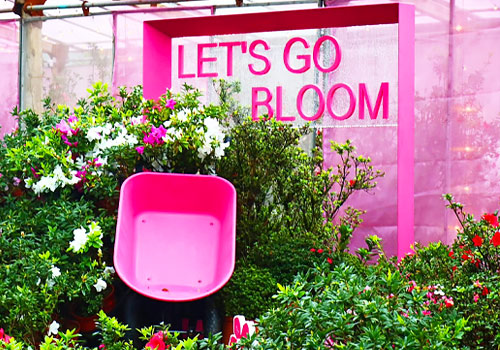 Tokyo Design Awards Winner - 2026 Let’s Go Bloom by New Taipei City Government