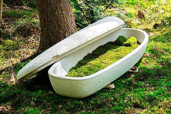 Loop Biotech Takes Platinum in Eco-Friendly Product Design Category